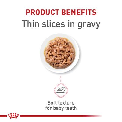Bundle: Royal Canin Feline Health Nutrition Dry Food + Feline Health Nutrition Thin Slices in Gravy Wet Kitten Food