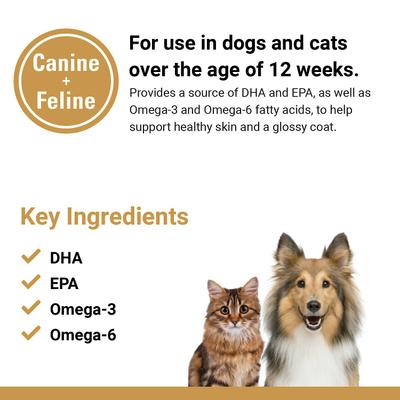 Salmon Oil Soft Chews Dog & Cat Supplement, 90 count