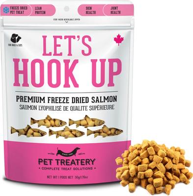 Let's Hook Up Freeze-Dried Salmon Dog & Cat Treats, 1.76--oz bag