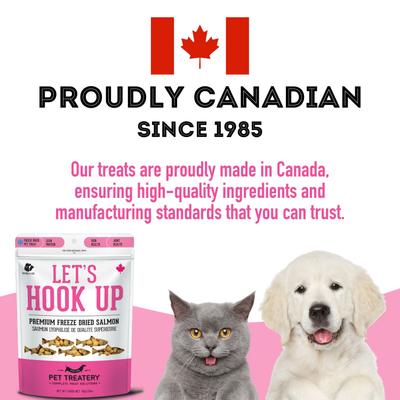 Let's Hook Up Freeze-Dried Salmon Dog & Cat Treats, 1.76--oz bag