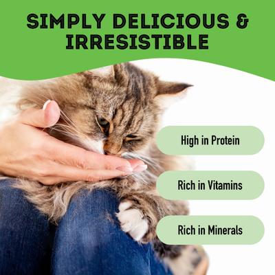 Why Did the Dog Cross the Road? Freeze-Dried Chicken Dog & Cat Treats, 1.76-oz bag