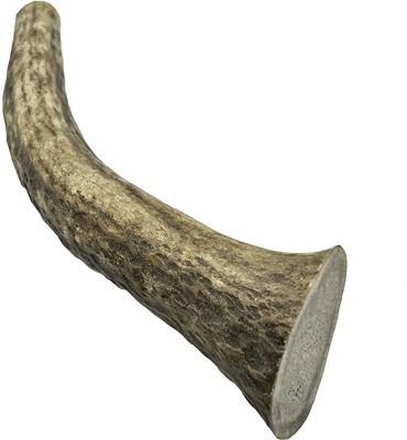 5 to 6-in Whole Elk Antlers Dog Treats, Medium, 1 count