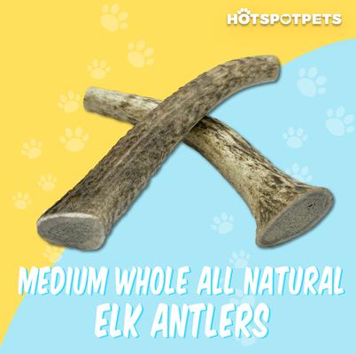 5 to 6-in Whole Elk Antlers Dog Treats, Medium, 1 count