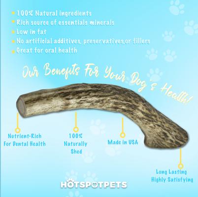 5 to 6-in Whole Elk Antlers Dog Treats, Medium, 1 count