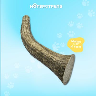 5 to 6-in Whole Elk Antlers Dog Treats, Medium, 1 count