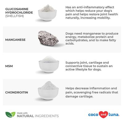 Coco and Luna Hip & Joint Bacon & Liver Flavor Dog Supplement, 120 count