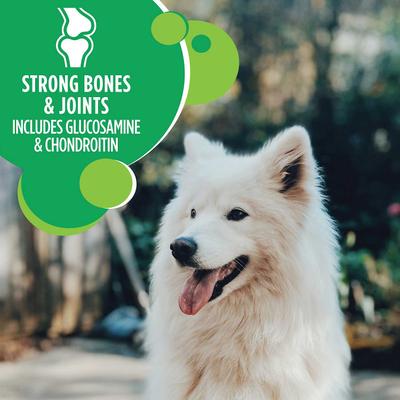 Proactive Health Large Breed Adult with Real Chicken Dry Dog Food, 60-lb bundle