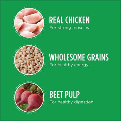 Proactive Health Large Breed Adult with Real Chicken Dry Dog Food, 60-lb bundle