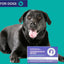 Comprehensive Review Dog Gut Check Kit