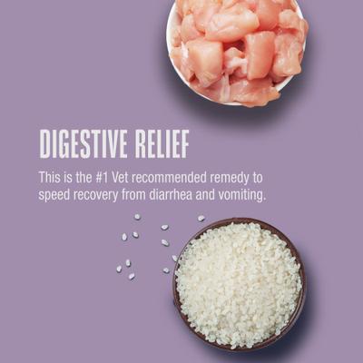 Recover Chicken & Rice Dog Freeze-Dried Treats, 16-oz bag