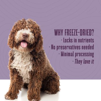 Recover Chicken & Rice Dog Freeze-Dried Treats, 16-oz bag