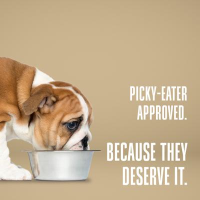 Recover Chicken & Rice Dog Freeze-Dried Treats, 16-oz bag