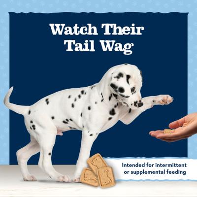 Baby Blue Oatmeal & Banana Puppy Treats, 8-oz bag