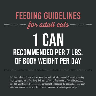 After Dark Pate+ Chicken & Beef Grain-Free Wet Cat Food, 5.5-oz can, case of 8