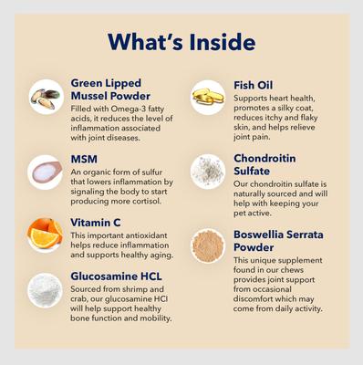 Hip & Joint Dog Supplement, 75-g jar