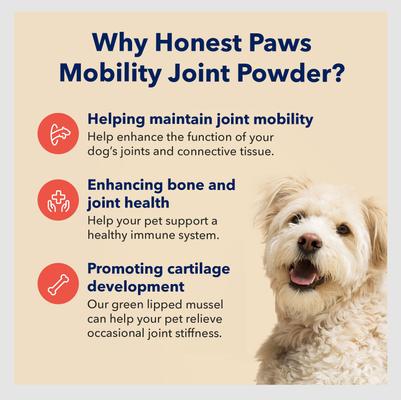 Hip & Joint Dog Supplement, 75-g jar