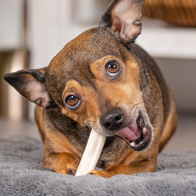 American Beefhide 3 to 3.5-inch Mini Rolls Natural Flavored Chewy Dog Treats, 14 count