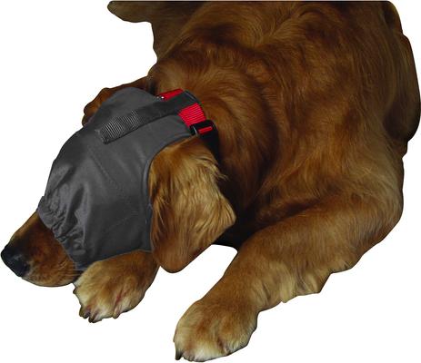 Calming Cap for Dogs, Small
