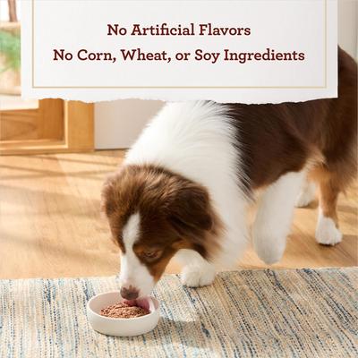 Porterhouse Flavor Tender Loaf in Gravy, Wet Dog Food, 3.5-oz cup, case of 12