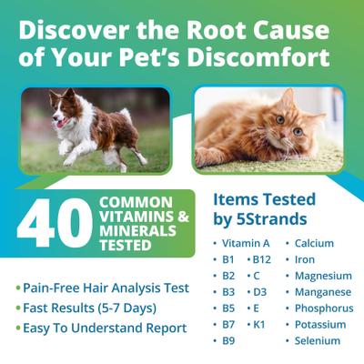 Nutrition Imbalance Test for Dog, Cat & Small Pet