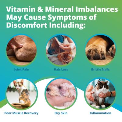 Nutrition Imbalance Test for Dog, Cat & Small Pet