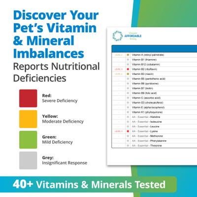 Nutrition Imbalance Test for Dog, Cat & Small Pet