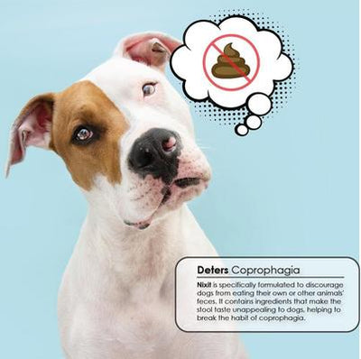 Powder Coprophagia Supplement for Dogs, 10.5-oz jar