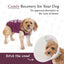 Recovery Suit Post-Surgery Dog Onesie, Maroon, X-Small