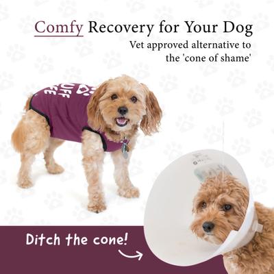 Recovery Suit Post-Surgery Dog Onesie, Maroon, X-Small