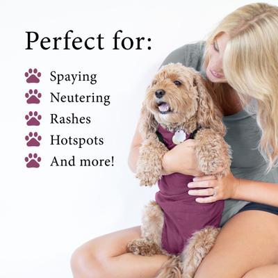 Recovery Suit Post-Surgery Dog Onesie, Maroon, X-Small