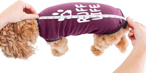 Recovery Suit Post-Surgery Dog Onesie, Maroon, X-Small