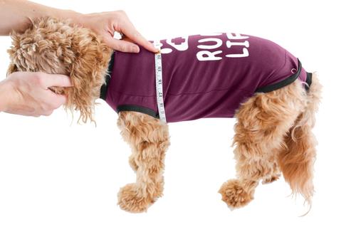 Recovery Suit Post-Surgery Dog Onesie, Maroon, X-Small