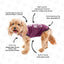 Recovery Suit Post-Surgery Dog Onesie, Maroon, X-Small