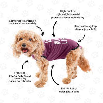 Recovery Suit Post-Surgery Dog Onesie, Maroon, X-Small