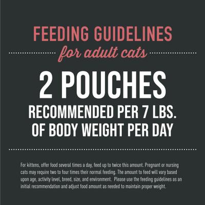 After Dark Velvet Mousse Chicken & Beef Grain-Free Wet Cat Food, 2.8-oz pouch, case of 12