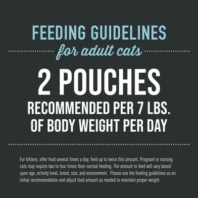 After Dark Velvet Mousse Chicken & Quail Egg Grain-Free Wet Cat Food, 2.8-oz pouch, case of 12