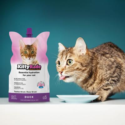 Prebiotic Drink Duck Flavored Liquid Digestive Supplement for Cats, 250-mL pouch, case of 3