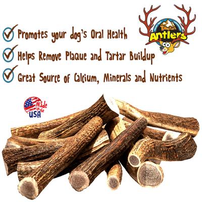 Whole Antler Grain-Free Dog Treat, 1 count, Small