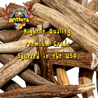 Whole Antler Grain-Free Dog Treat, 1 count, Small