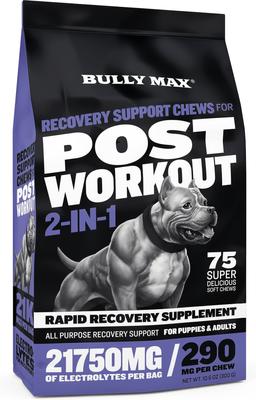 2-in-1 Post Workout Recovery Support Beef Flavored Chew Supplement for Dogs, 10.6-oz bag