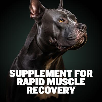 2-in-1 Post Workout Recovery Support Beef Flavored Chew Supplement for Dogs, 10.6-oz bag