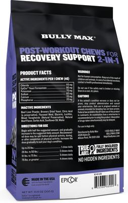 2-in-1 Post Workout Recovery Support Beef Flavored Chew Supplement for Dogs, 10.6-oz bag
