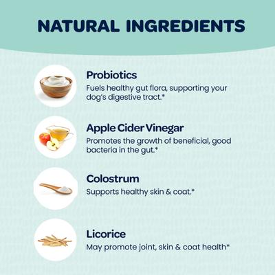 Seasonal Allergy Dog Supplement, 90 Count