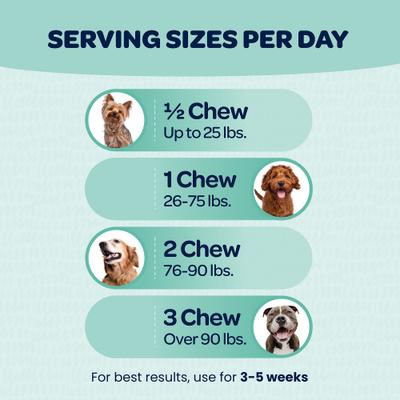 Seasonal Allergy Dog Supplement, 90 Count