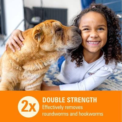 HC WormX DS Dewormer for Hookworms & Roundworms for Dogs, 2-fl oz bottle