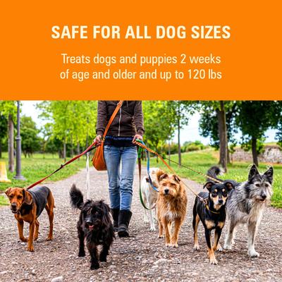 HC WormX DS Dewormer for Hookworms & Roundworms for Dogs, 2-fl oz bottle