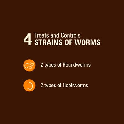 HC WormX DS Dewormer for Hookworms & Roundworms for Dogs, 2-fl oz bottle