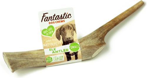 Whole Elk Antler Dog Chew