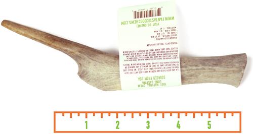 Whole Elk Antler Dog Chew