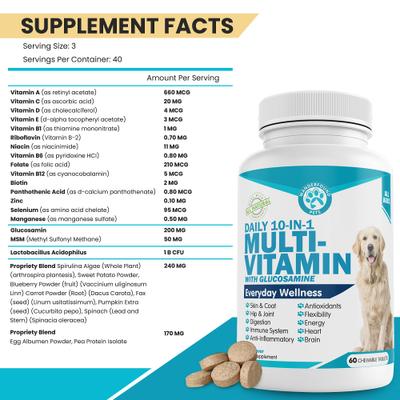 10-In-1 Multi-vitamin + Glucosamine Liver Flavor Dog Supplement, 60 count